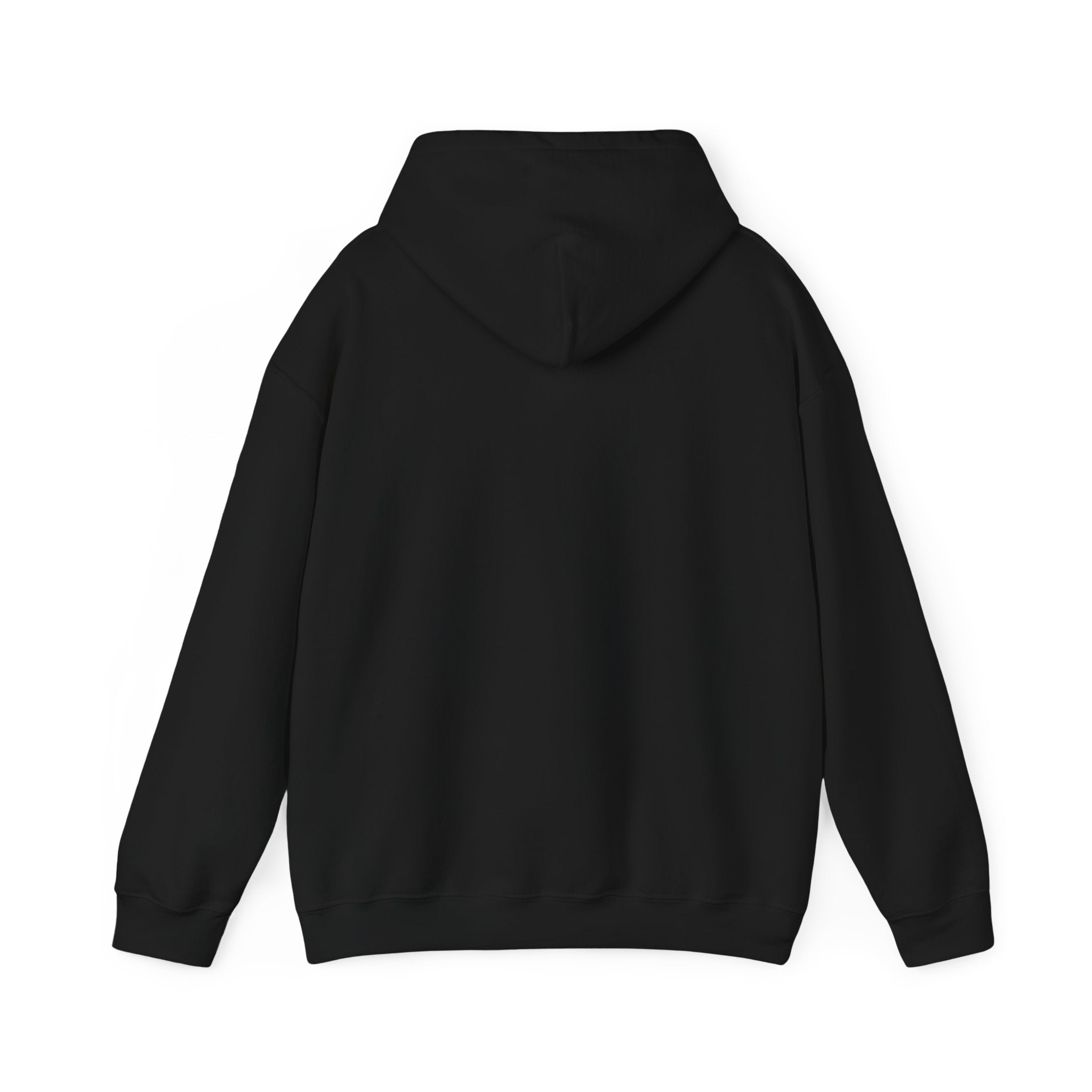 BT Academy Unisex Heavy Blend™ Hooded Sweatshirt